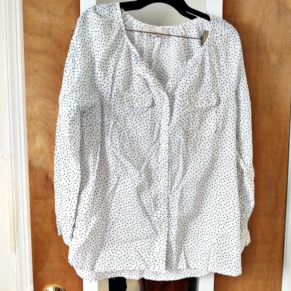 LOFT Cotton Button Down Shirt Polka Dots Medium - Picture 2 of 8